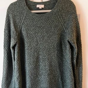 The loft over sized sweater